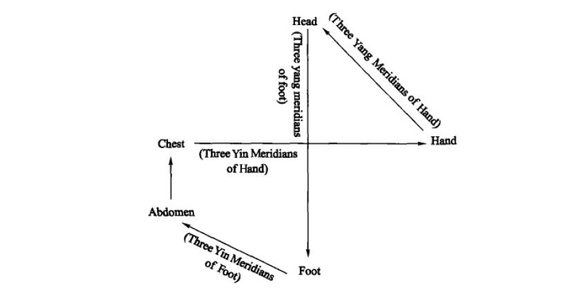 Convergence of the twelve main meridians