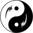  Yin and yang and the transformation between each other, the black colour represents yin and the white one represents yang, the white spot in black refers to yang within yin and vice versa.