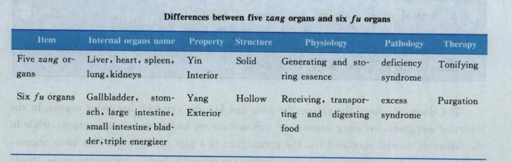 Differences between five zang organs and six fu organs