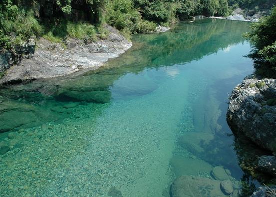 泉水 TCM Herb TCM Wiki