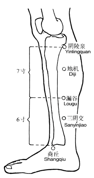 Sanyinjiao (SP6, 三阴交), acupuncture point, Taiyin/ Spleen Meridian of the Foot