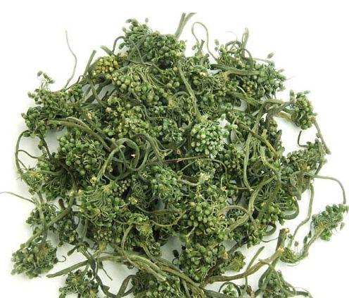 人参花 Tcm Herbs Tcm Wiki