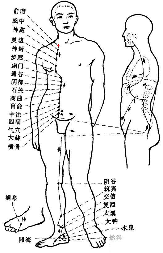 Shufu - TCM Wiki