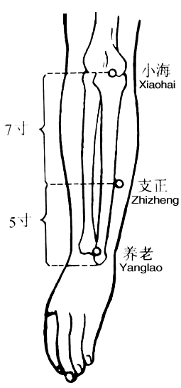 Yanglao (SI6,养老),acupuncture point, Taiyang/Small Intestine Meridian of Hand