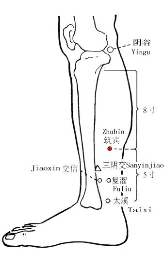 Zhubin
