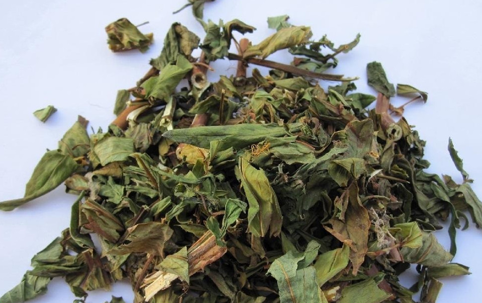 Hou Po - TCM Herbs - TCM Wiki