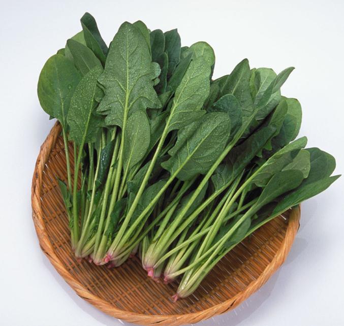 Bo Cai - TCM Herbs - TCM Wiki