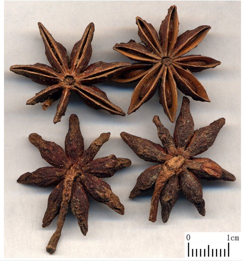 Anise - Wikipedia