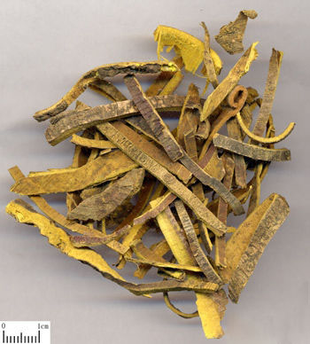 Hou Po - TCM Herbs - TCM Wiki