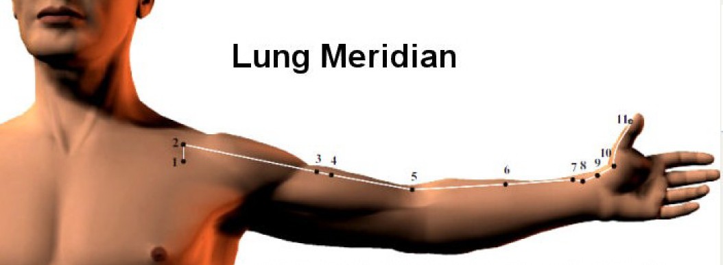 Lung Meridian