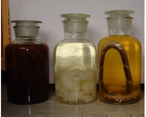 snake wine and other kind of medical wine