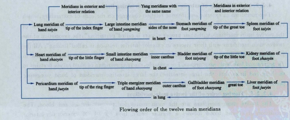 Flowing order of the twelve main meridians