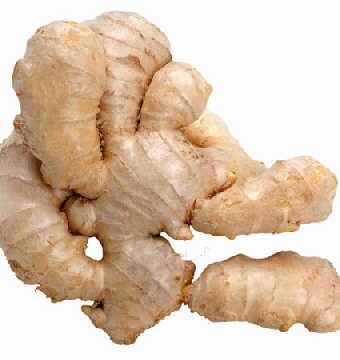 Galangal - Wikipedia