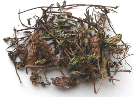 Hou Po - TCM Herbs - TCM Wiki