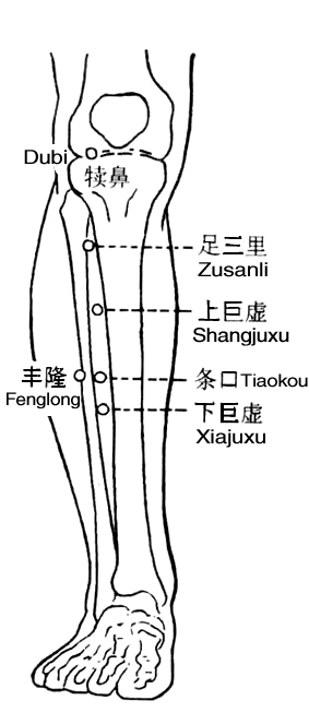 Fenglong