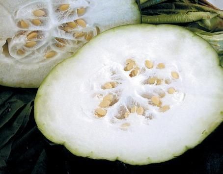 冬瓜瓤