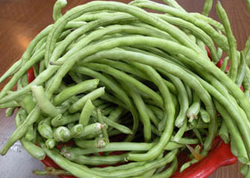 豇豆